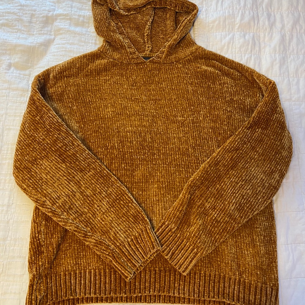 Velvet sweatshirt